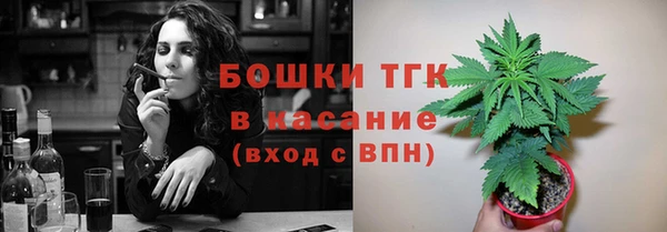 прущие крисы Арсеньев