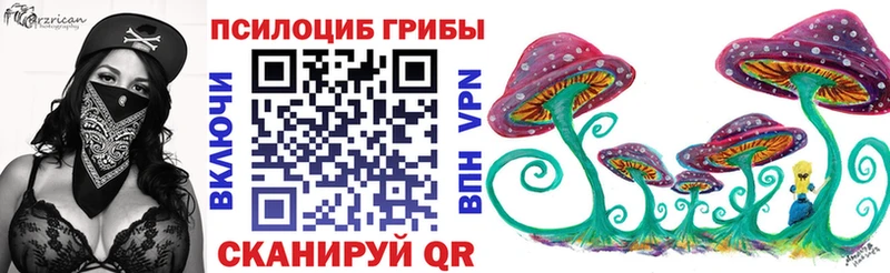 MEGA ссылки  сколько стоит  Вязьма  Псилоцибиновые грибы GOLDEN TEACHER 